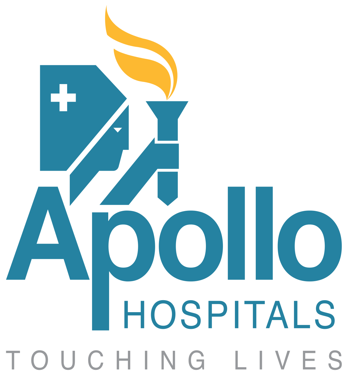 Apollo Hospitals Enterprises Ltd. logo